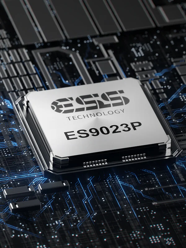 Puertos de entrada y salida traseros del Arylic A100