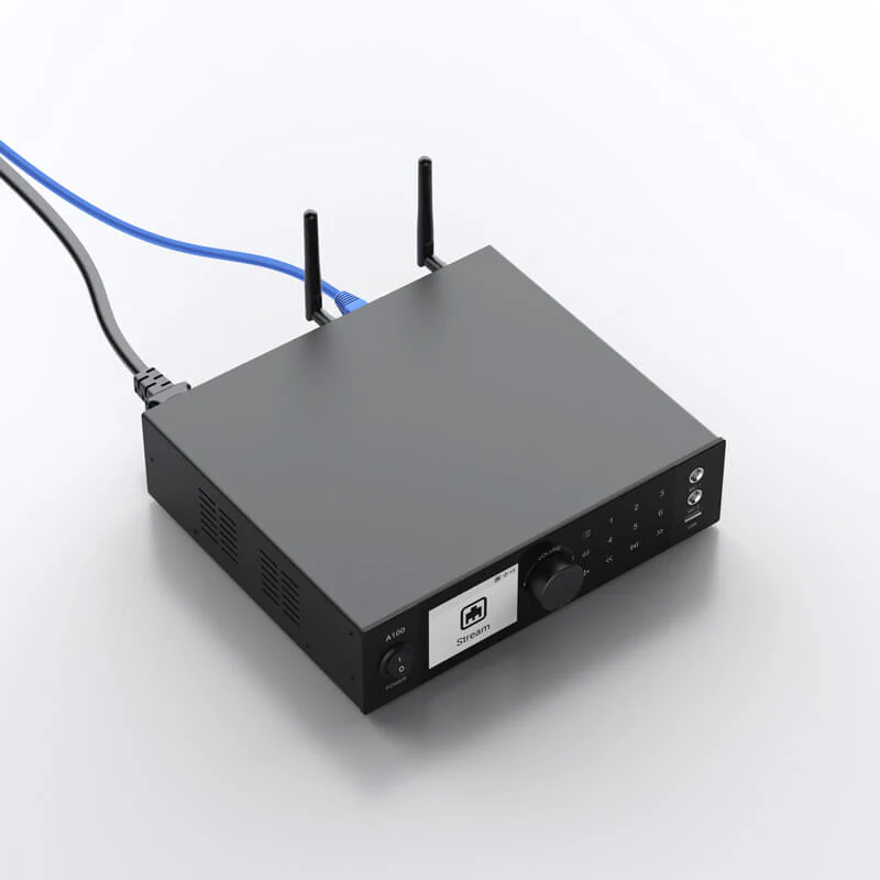 Cable de red conectado a un puerto LAN del Arylic A100