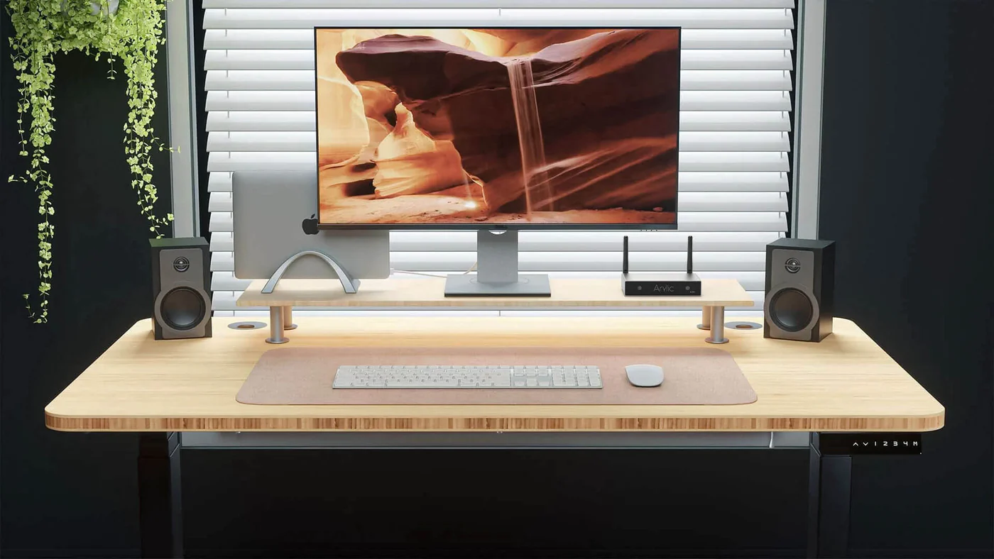 Conectividad del amplificador Arylic A30+ para escritorio