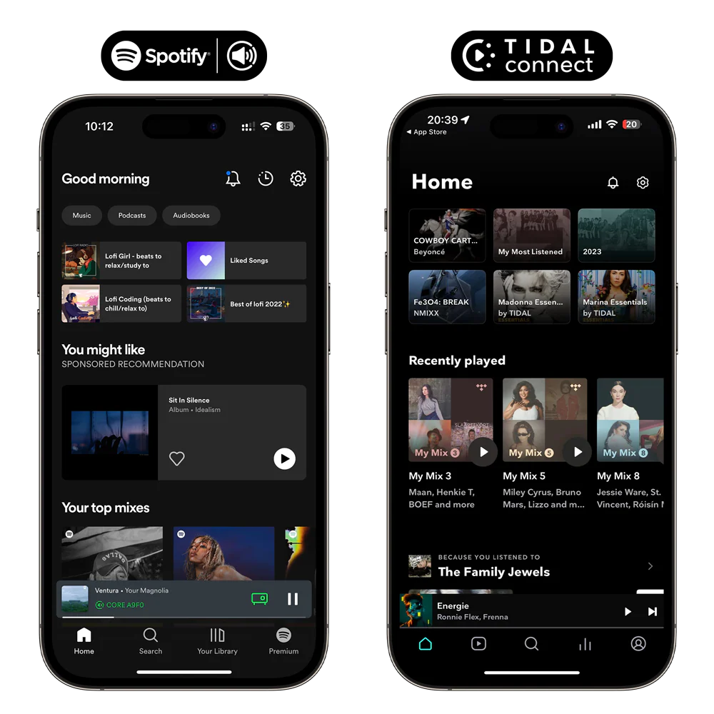 Logos de Spotify Connect y Tidal Connect en el Arylic LP10