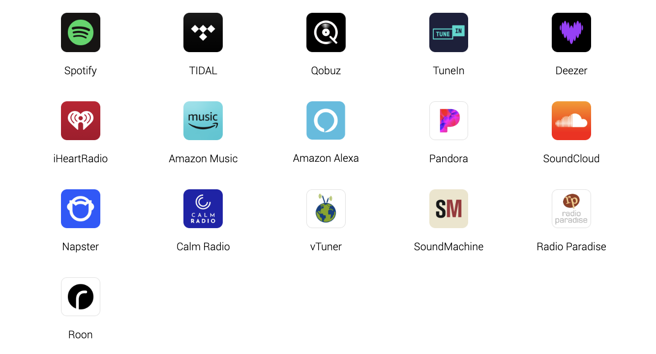 Puertos de conectividad avanzada del WiiM Pro+