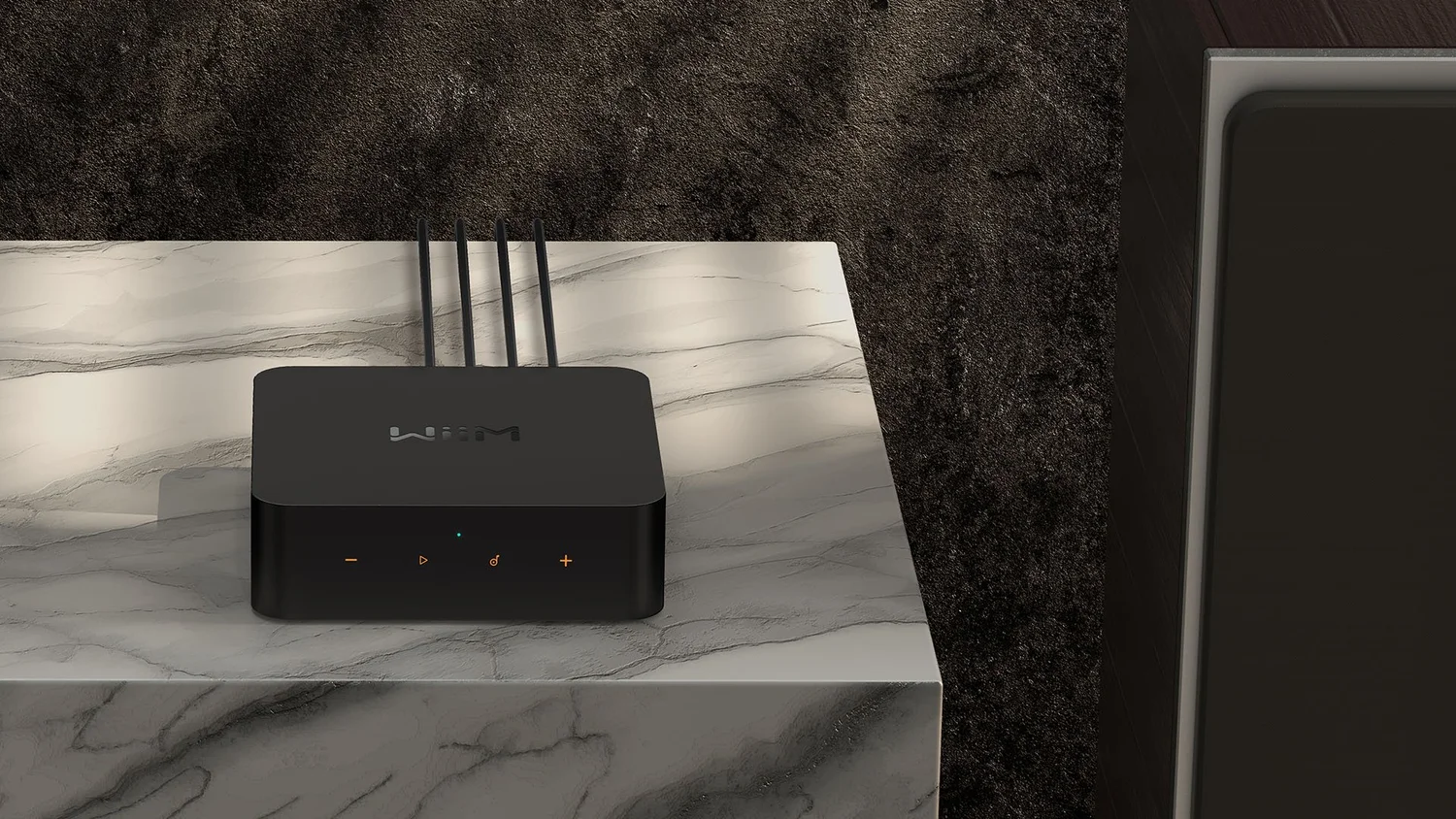 WiiM Pro+ en la mano para mostrar su tamaño compacto