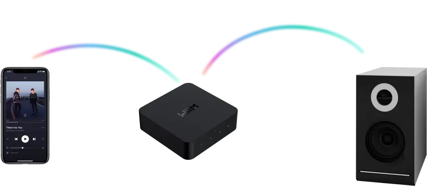 Detalle del DAC AKM 4493SEQ del WiiM Pro+ para sonido de alta resolución