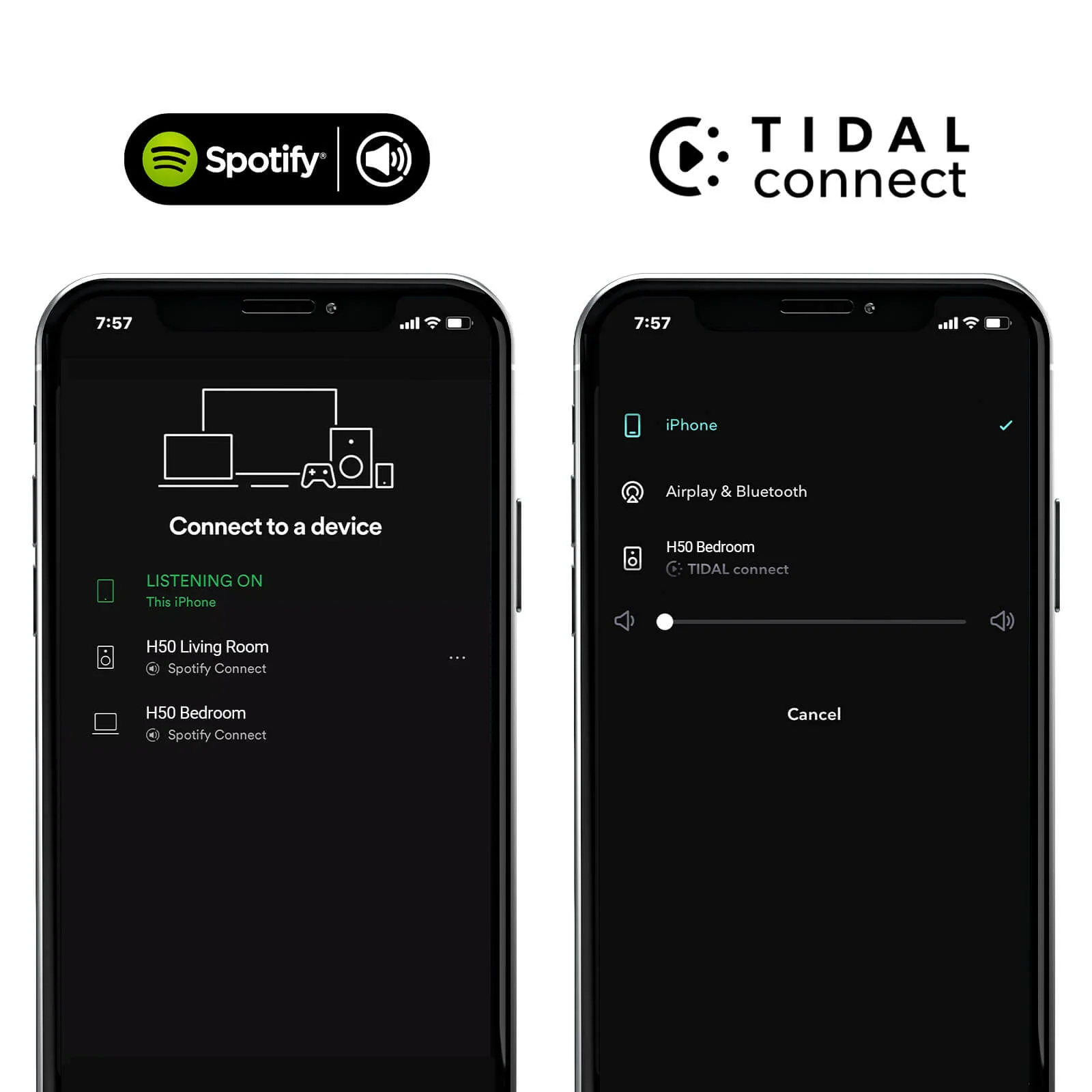 Logos de Spotify y Tidal Connect